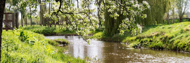 trouwlocatie regio son en breugel bij het water